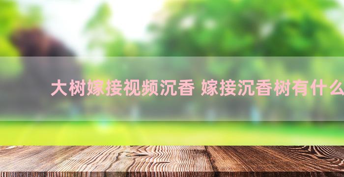 大树嫁接视频沉香 嫁接沉香树有什么作用